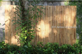 Yellow Bamboo Garden Fence