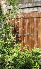 Split Bamboo Fence Indonesia