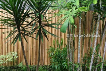 Fence Made from Bamboo