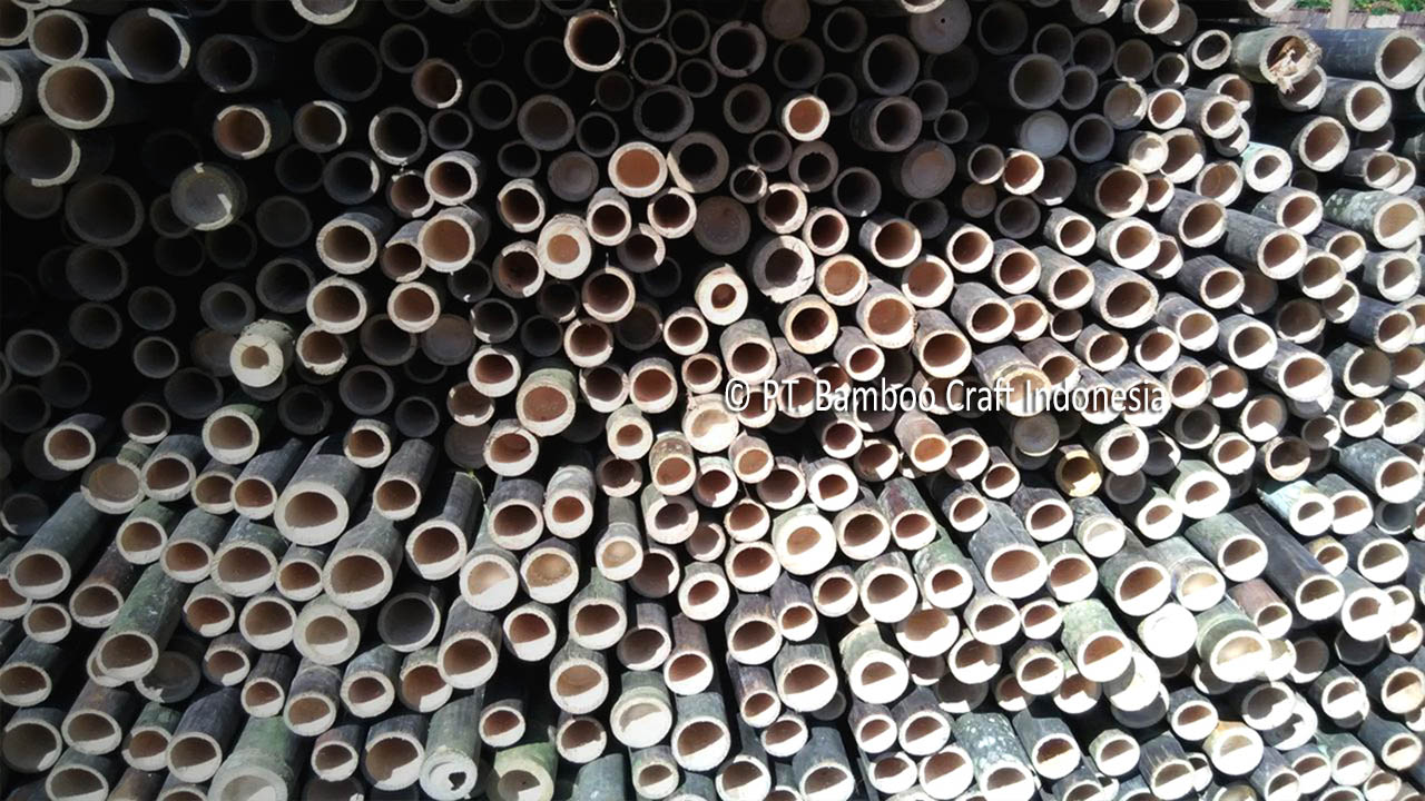 Bamboo Poles Indonesia